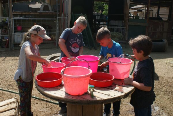 Summer Camp - Week Booking - Image 4