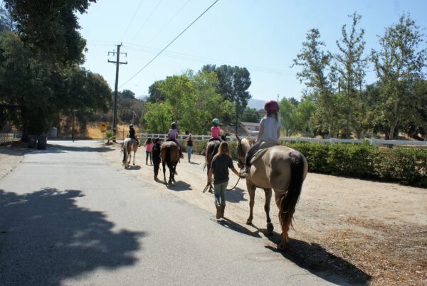 Summer Camp - Week Booking - Image 5